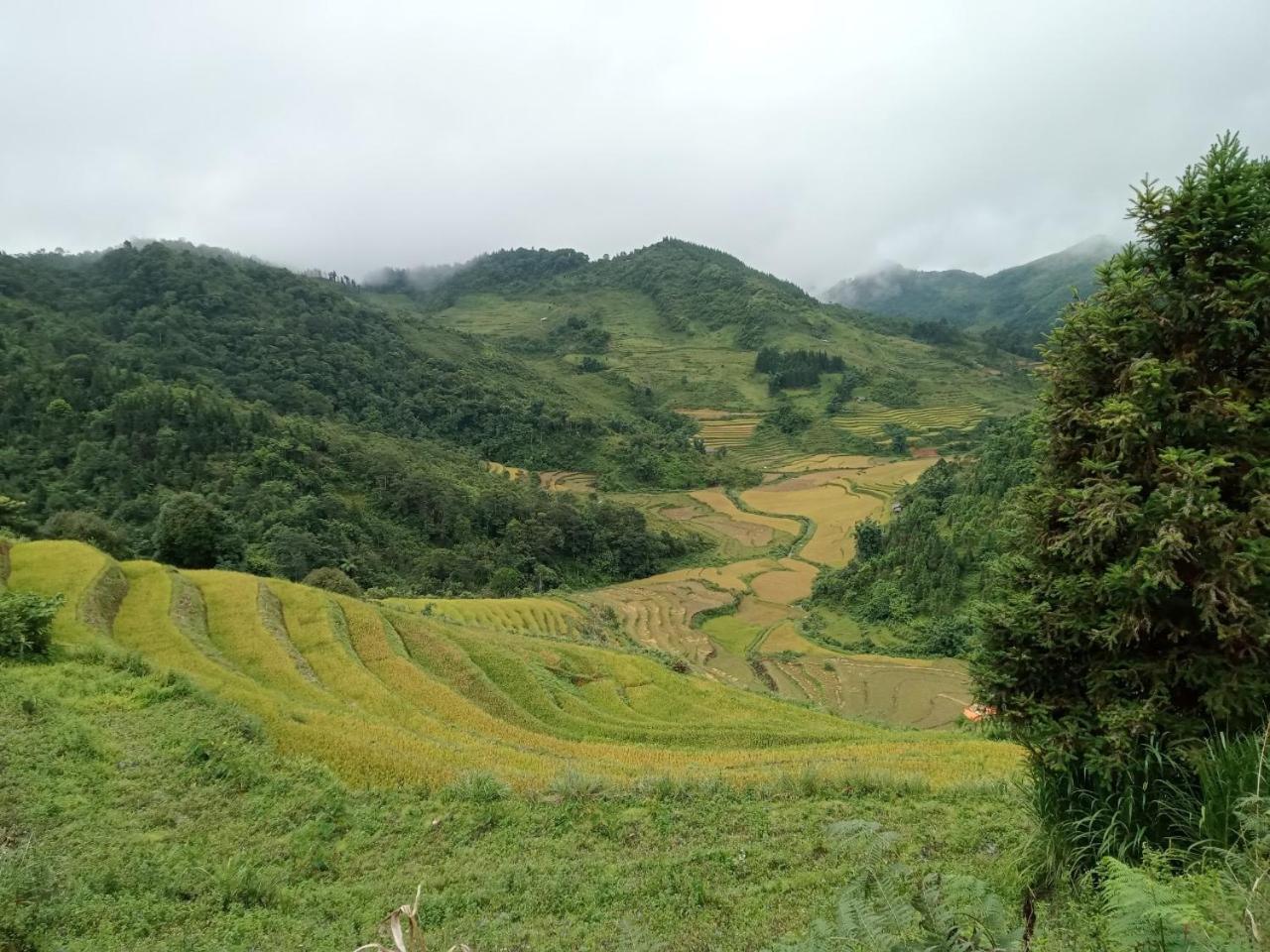 Bac Ha Charm Stay Exterior foto
