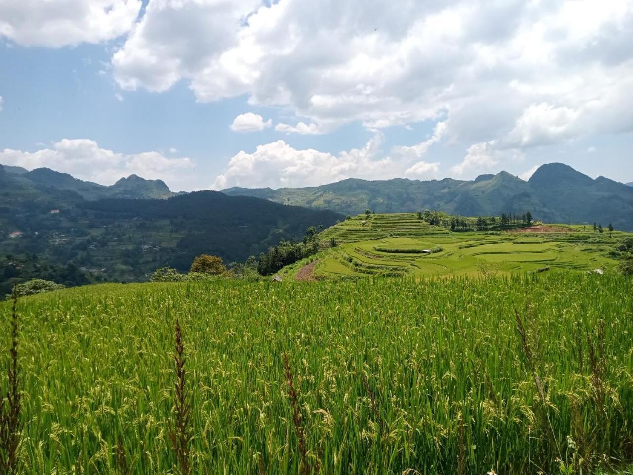 Bac Ha Charm Stay Exterior foto