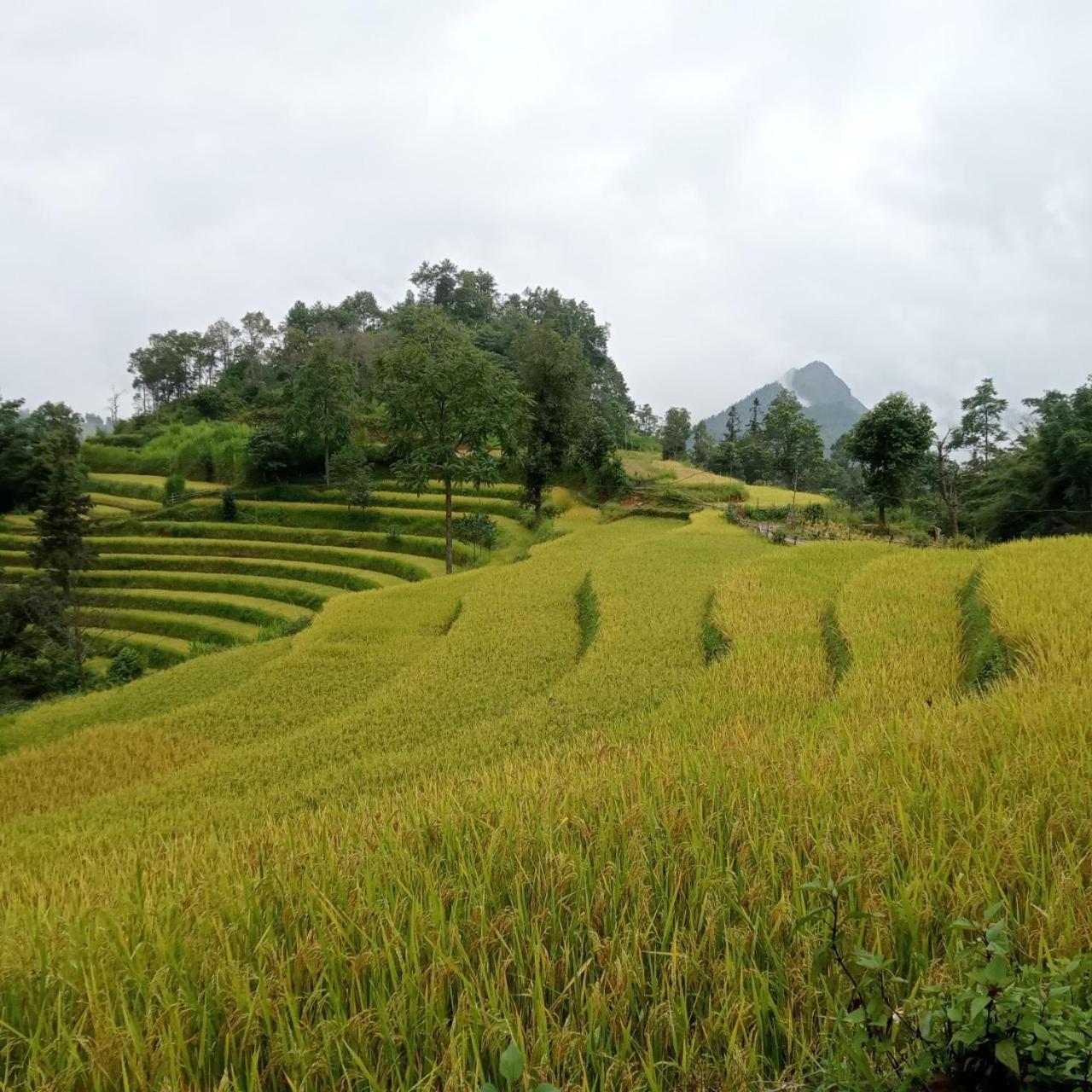 Bac Ha Charm Stay Exterior foto